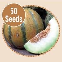 Melon Ogen 50 Seeds