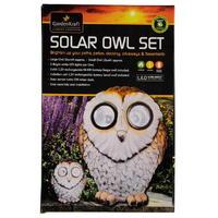 Mega Value Solar Owl Decoration Set