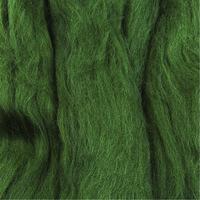 Merino Wool Tops 50g - Fir