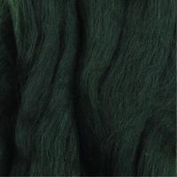 Merino Wool Tops 50g - Forest Green