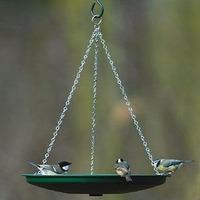 Meripac Bird Bath