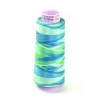 Mettler No 50 Silk Finish Multi Cotton Quilting Thread 1372m 1372m 9814 Seaspray