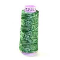 Mettler No 50 Silk Finish Multi Cotton Quilting Thread 1372m 1372m 9819 Spruce Pines