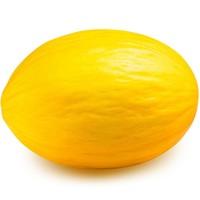 Melon Yellow Canary (each)