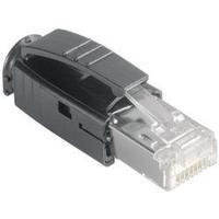 Metz Connect 1401505012-E 8 RJ45 Plug, straight