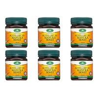 medi bee active umf 10 manuka honey 250g pack of 6 