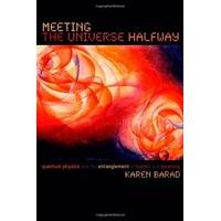 Meeting the Universe Halfway: Quantum Physics and the Entanglement of Matter and Meaning