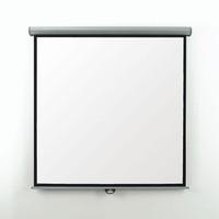 Metroplan Eyeline Electric Wall Screen - projection screen(EES30W)