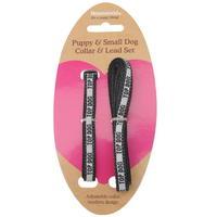 Mega Value Puppy and Small Dog Collar and Lead Set