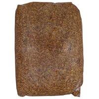 Mega Value Bag of Dried Mealworms