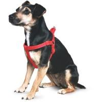 Medium Black Padded Dog Harness