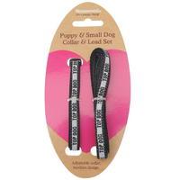 Mega Value Puppy and Small Dog Collar and Lead Set