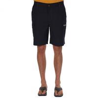 mens delph shorts navy