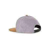 Mens VANS Grey Contrast Peak Cap, Grey