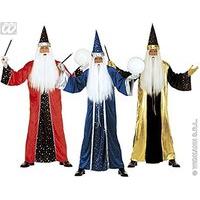 Mens Fantasy Wizard Costume Medium Uk 40/42\