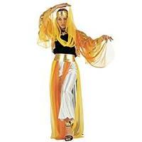 Medium Gold Ladies Harem Dancer Costume