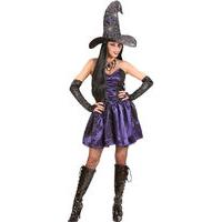 Medium Ladies Witch Costume