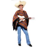 Men\'s Stripy Mexican Poncho