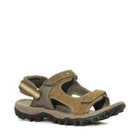 mens braunton sandal