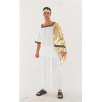 mens ancient roman costume