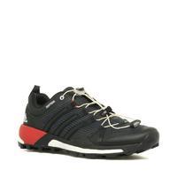 mens terrex skychaser shoes