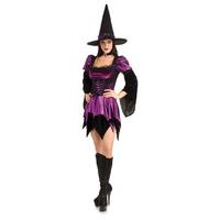 Medium Ladies Sexy Witch Costume