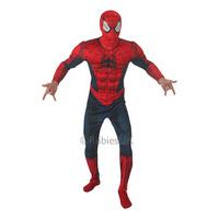 Men\'s Deluxe Spiderman Costume