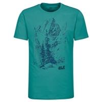 Mens Mountain Tee - Spearmint