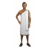 Medium Large Men\'s Caesar Costume