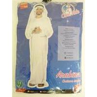 Medium White Boys Arabian Costume