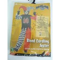 Medium Boys Blood Curdling Jester Costume