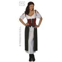 Medium Adult\'s Tavern Wench Costume