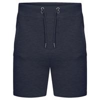 Mens Samuel Stripe Quilted Qutory Sweat Shorts in Navy