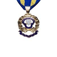 MEMBERS Branch Chairman\'s Jewel