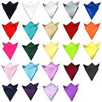 Men Casual Cravat Ascot , Polyester/Silk Christmas Gifts