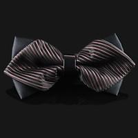 Men Vintage/Party/Work/Casual Bow Tie , Polyester