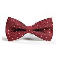 Men Vintage/Party/Work/Casual Bow Tie , Polyester Christmas Gifts