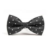 Men Vintage/Party/Work/Casual Bow Tie , Polyester