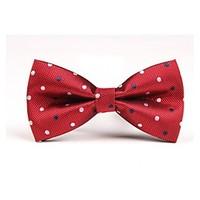 Men Vintage/Party/Work/Casual Bow Tie , Polyester Christmas Gifts