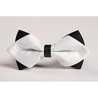 Men Vintage/Party/Work/Casual Bow Tie , Polyester