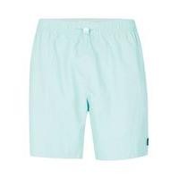 Mens Mint Green Skater Fit Swim Shorts, Mint