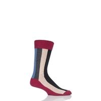 Mens 1 Pair HJ Hall Rainbow Vertical Striped Socks