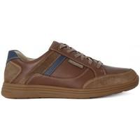 mephisto frank washed mens shoes trainers in multicolour