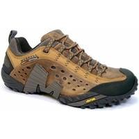 merrell intercept mens shoes trainers in brown