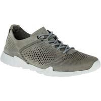 Merrell Versent Ltr Perf Leather men\'s Shoes (Trainers) in Grey