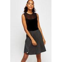 Mesh Insert Polka Dot Bodice Skater Dress