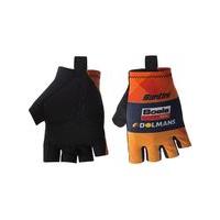 Medium Orange 2017 Santini Teams Boels Domans Race Mitts