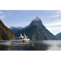 milford sound sightseeing cruise