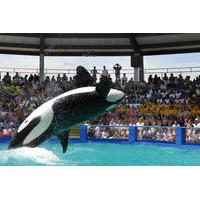 Miami Seaquarium with Animal Shows and Round Trip Transportation