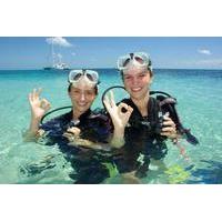 Michaelmas Cay Dive and Snorkel Cruise from Palm Cove